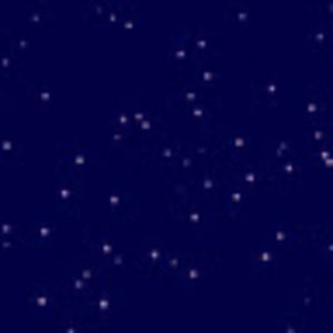 Meet your Posher, Carissa